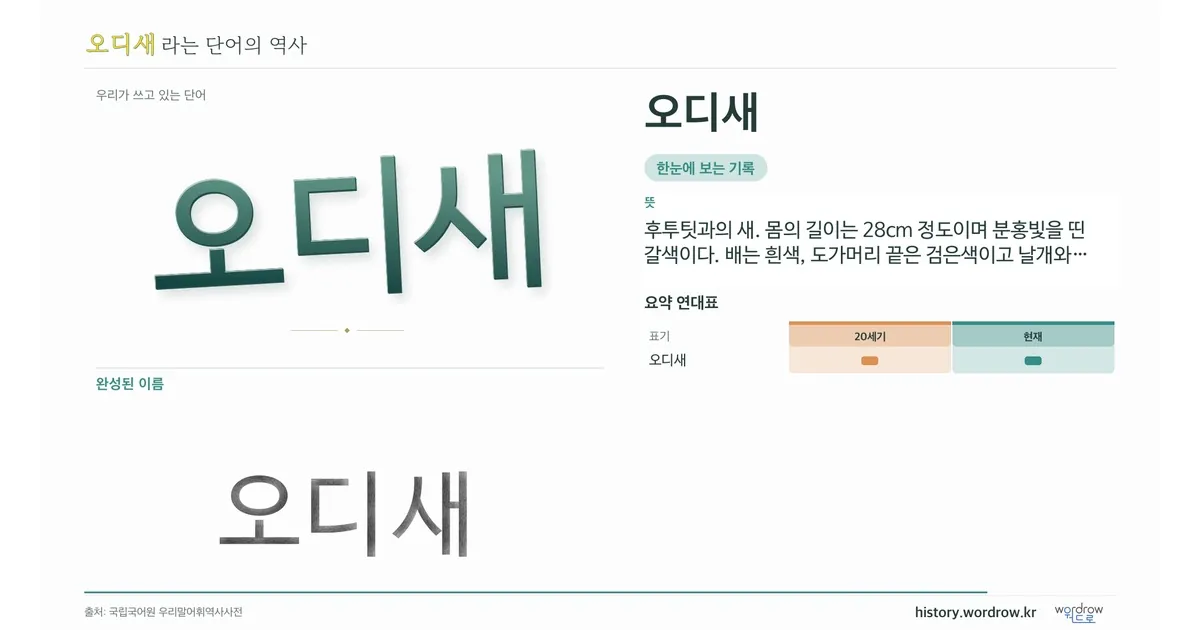 오디새 대표 이미지