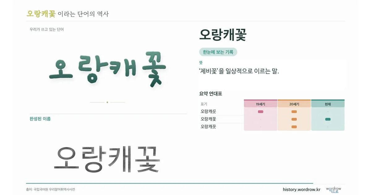 오랑캐꽃 대표 이미지
