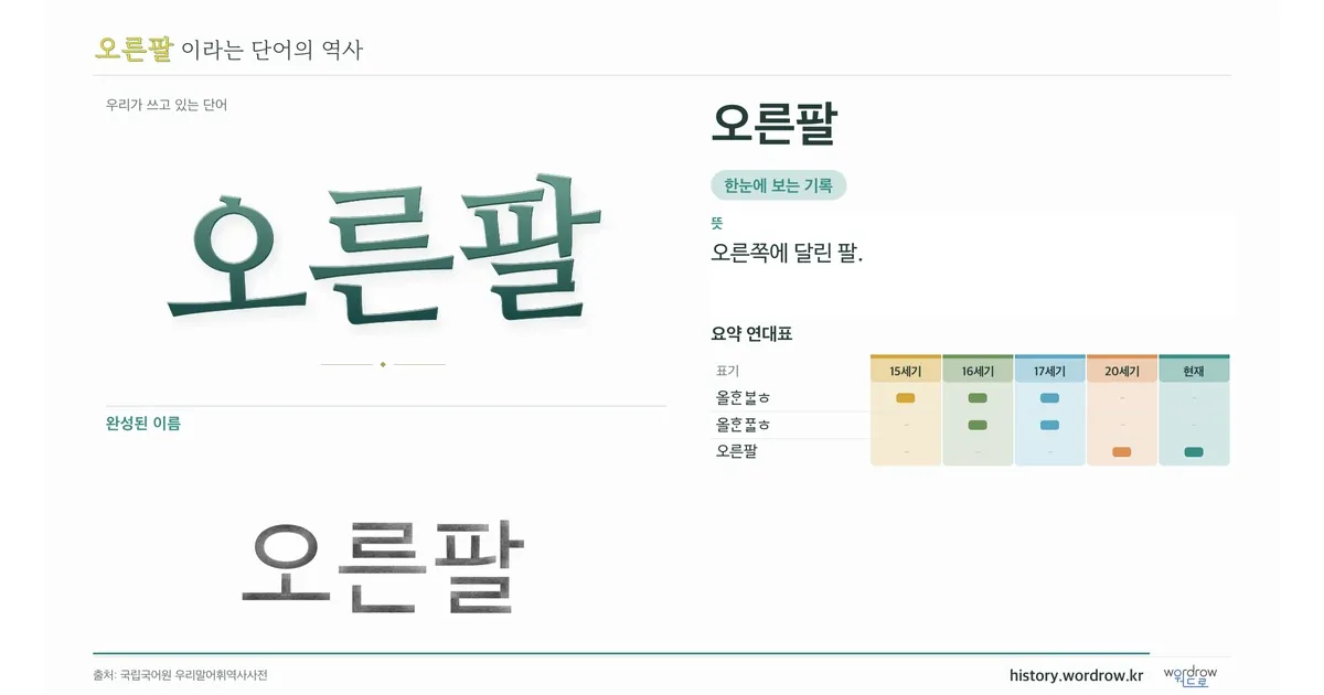 오른팔 대표 이미지