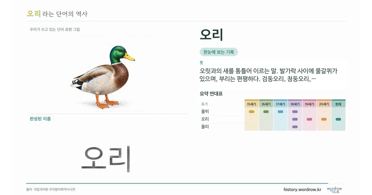 오리 대표 이미지