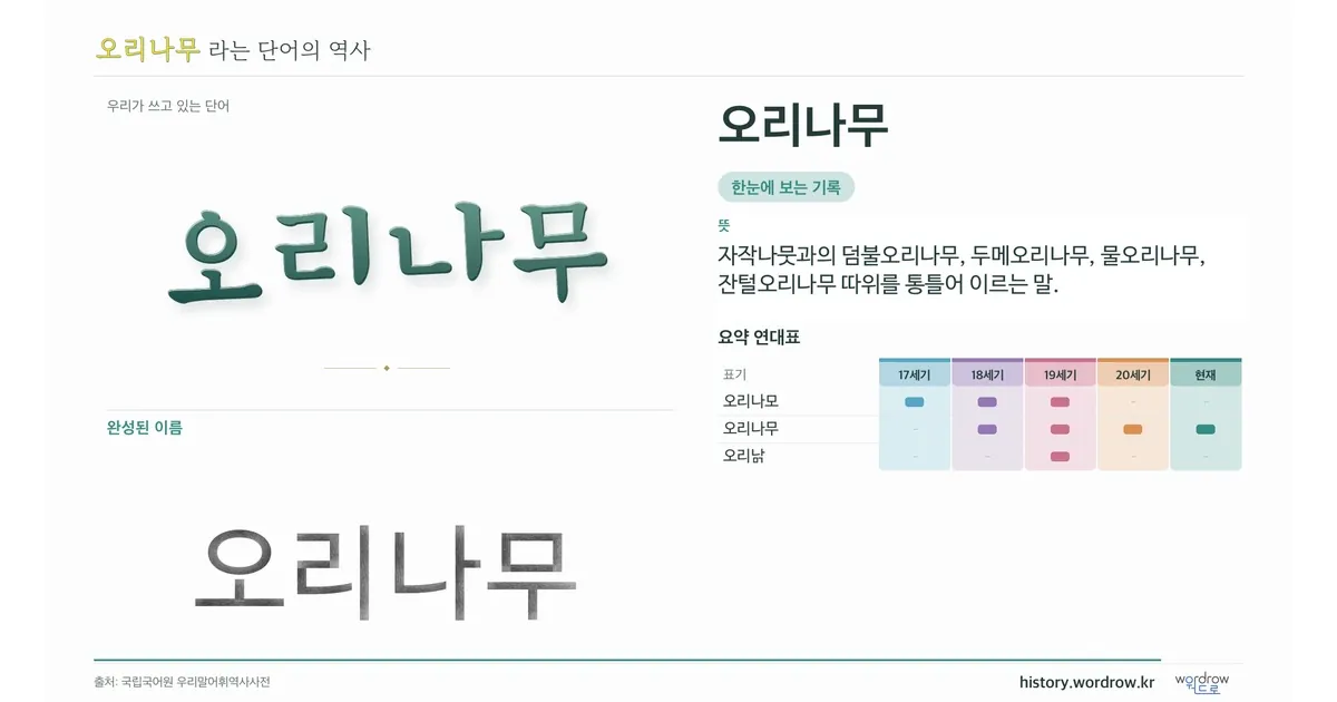 오리나무 대표 이미지