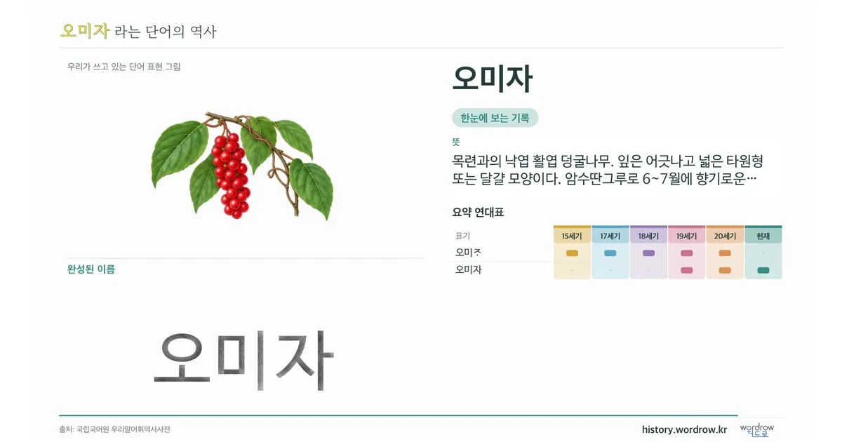 오미자 대표 이미지
