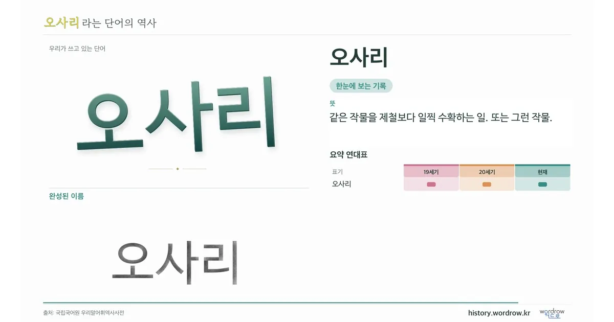 오사리 대표 이미지