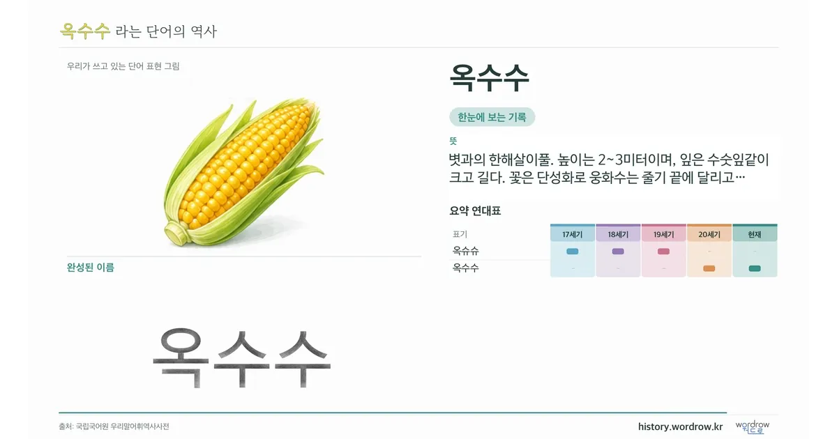 옥수수 대표 이미지