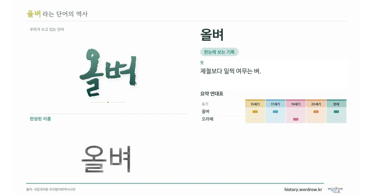 올벼 대표 이미지