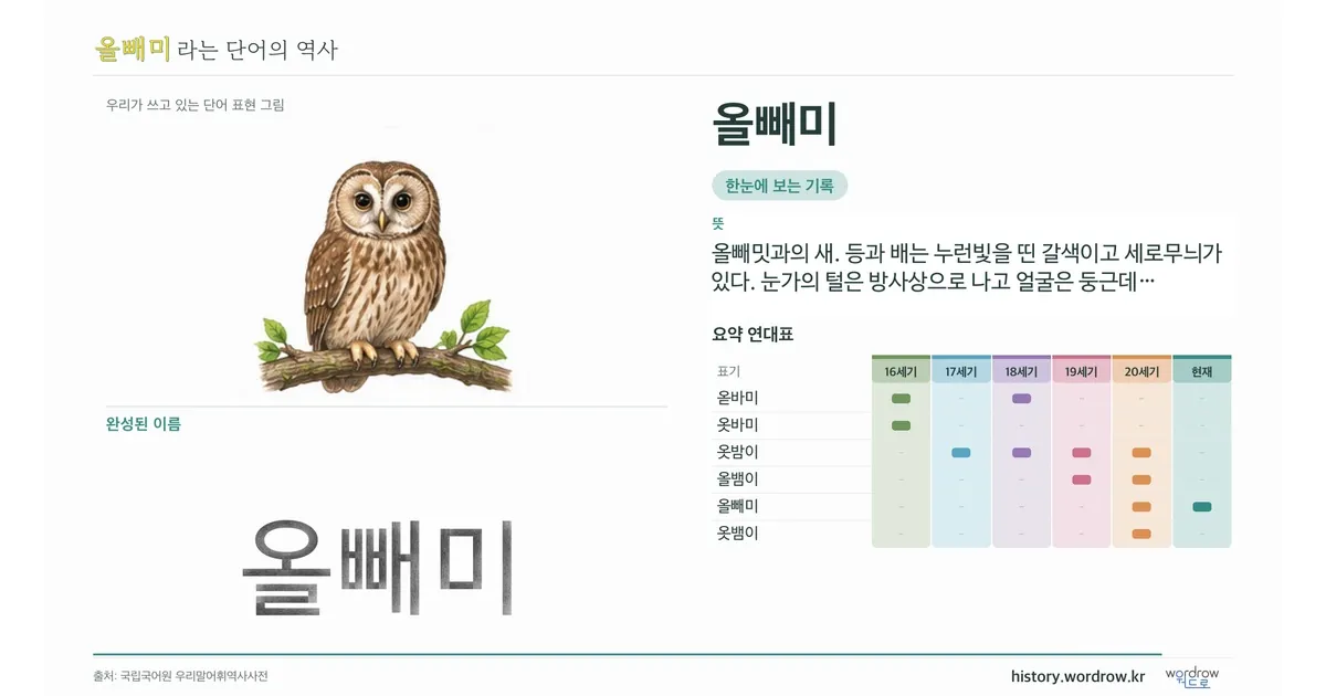 올빼미 대표 이미지
