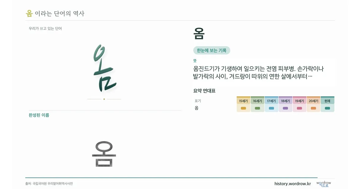옴 대표 이미지