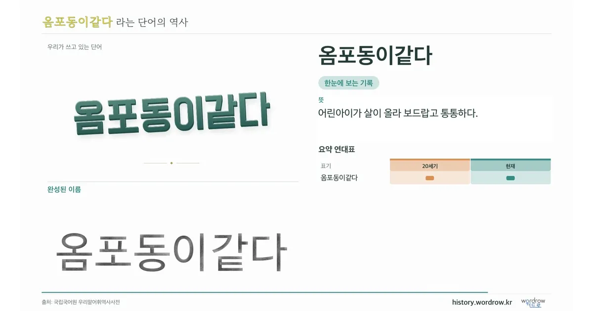 옴포동이같다 대표 이미지