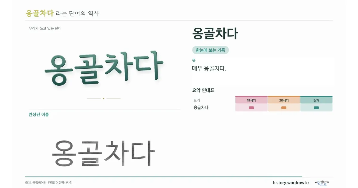 옹골차다 대표 이미지