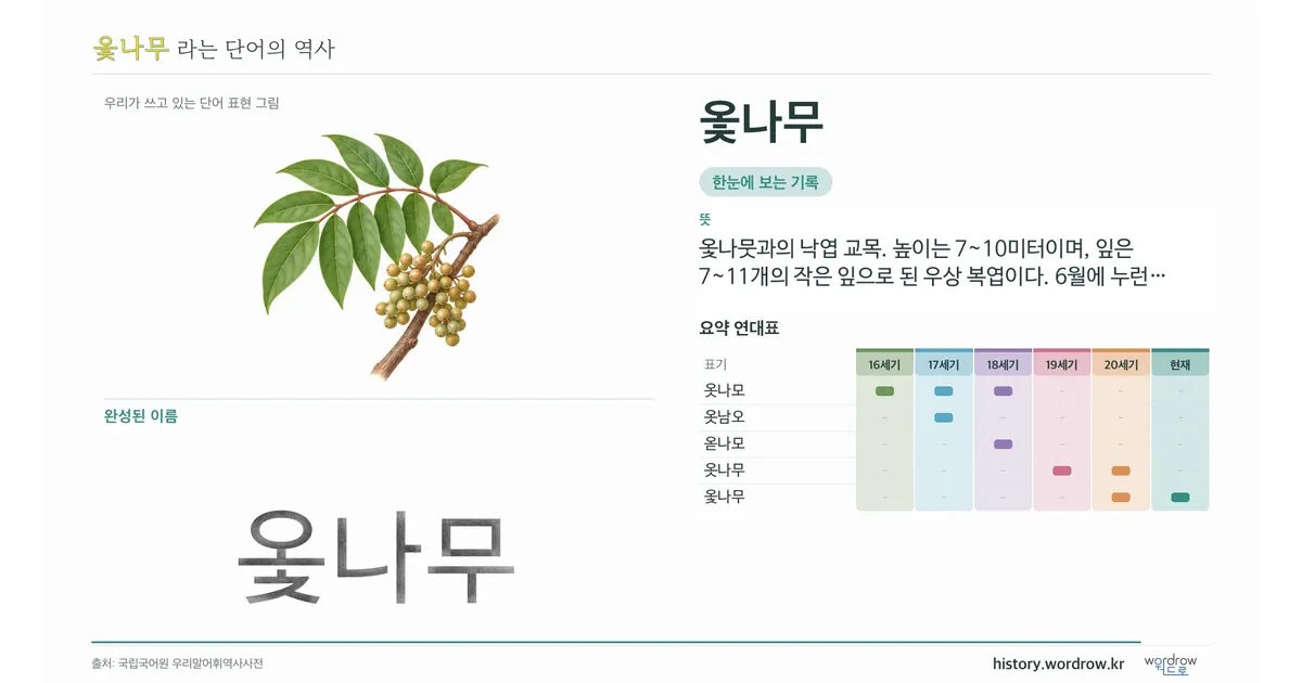 옻나무 대표 이미지