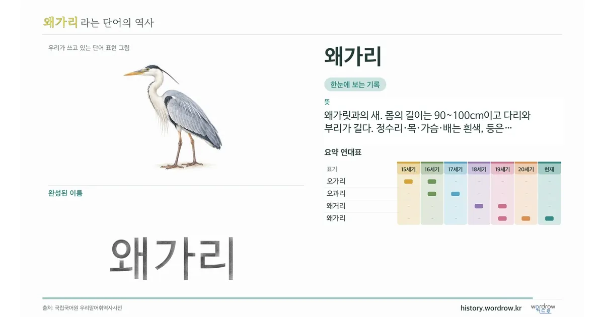 왜가리 대표 이미지