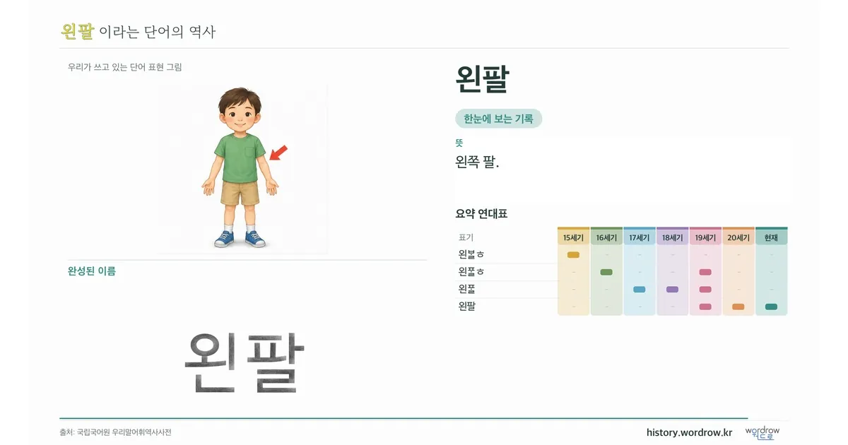 왼팔 대표 이미지