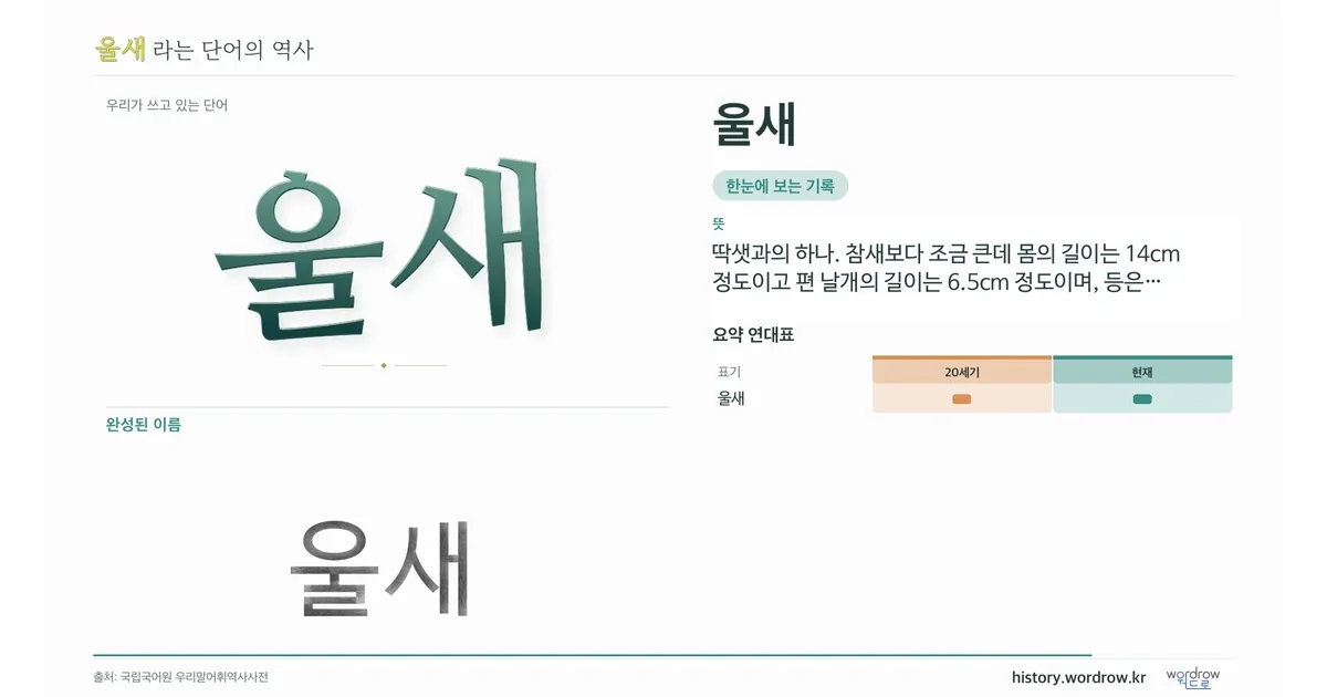 울새 대표 이미지