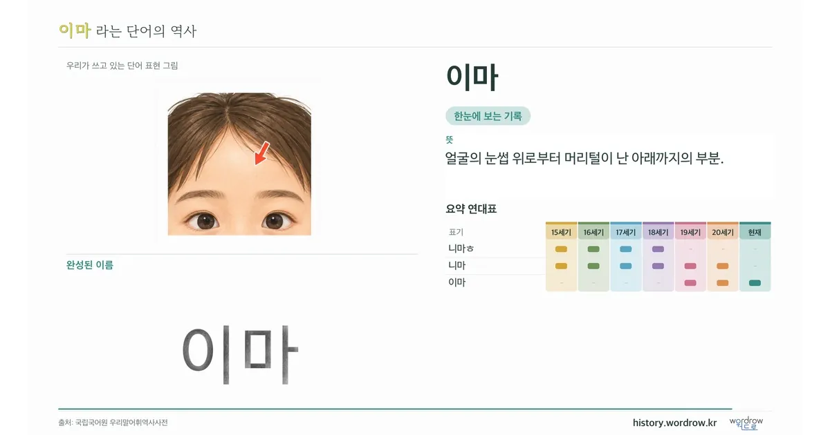 이마 대표 이미지