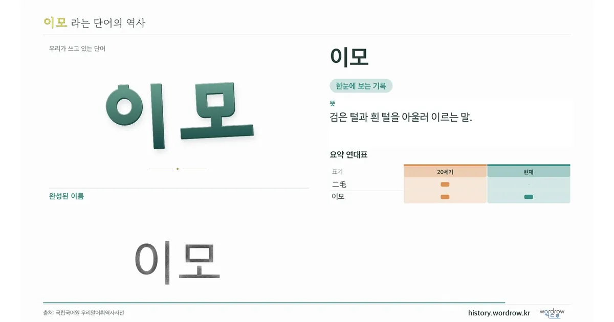 이모 대표 이미지