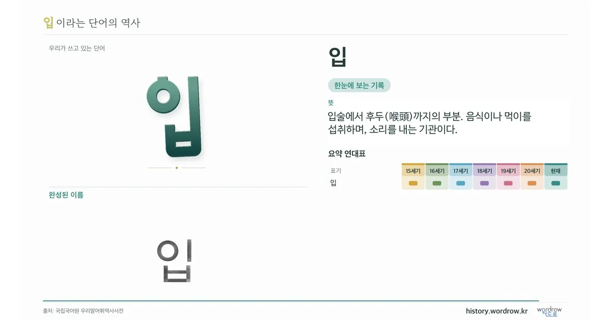 입 대표 이미지