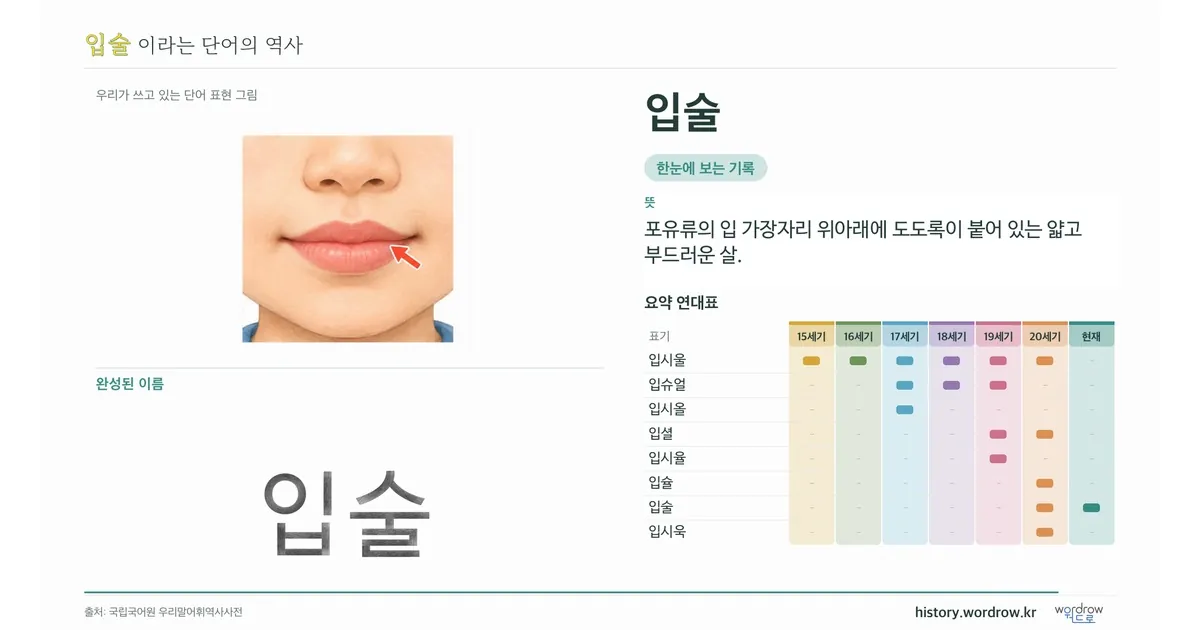 입술 대표 이미지