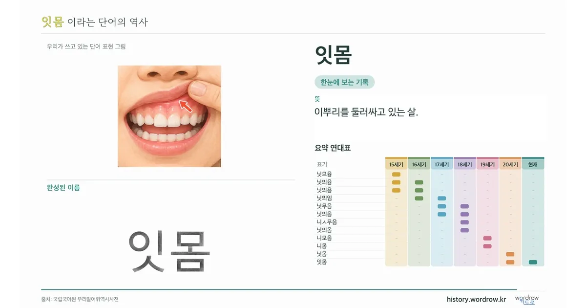 잇몸 대표 이미지