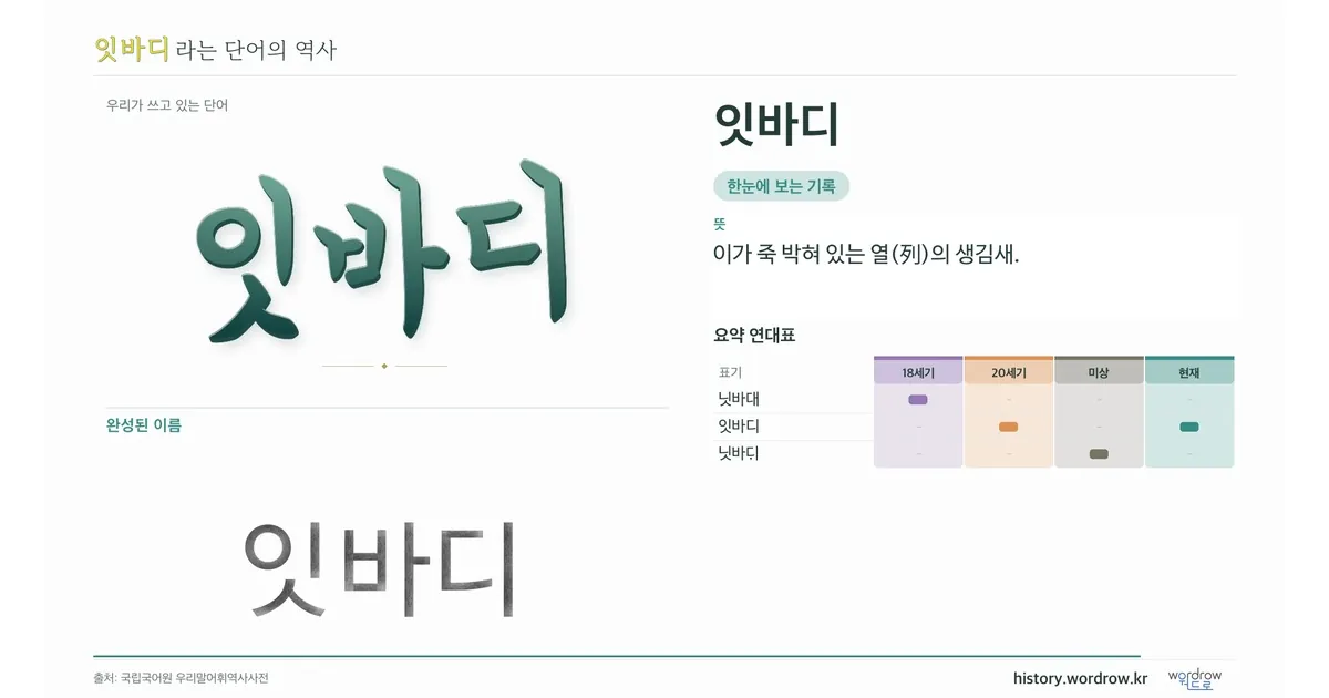 잇바디 대표 이미지