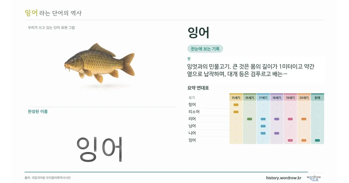 잉어 대표 이미지