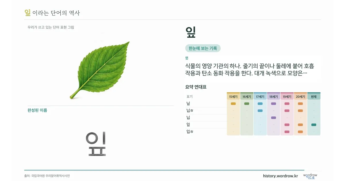 잎 대표 이미지