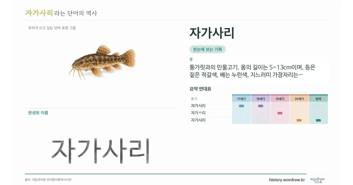자가사리 대표 이미지