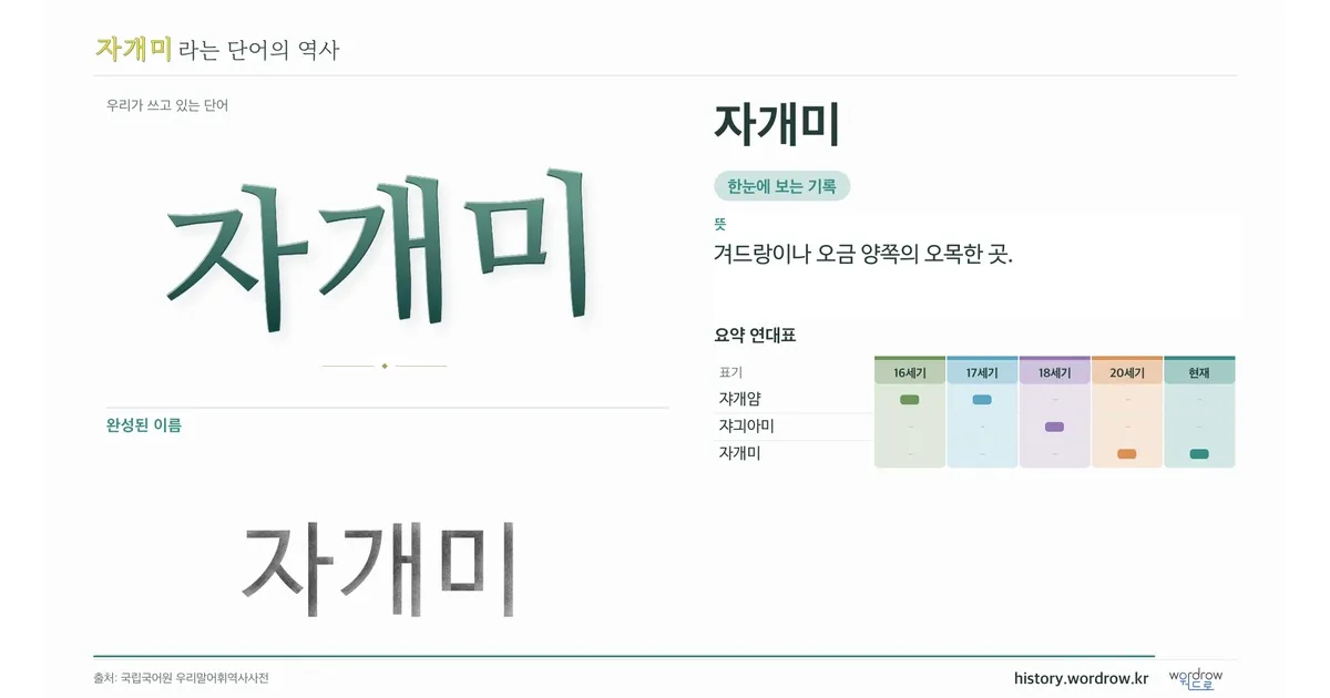 자개미 대표 이미지