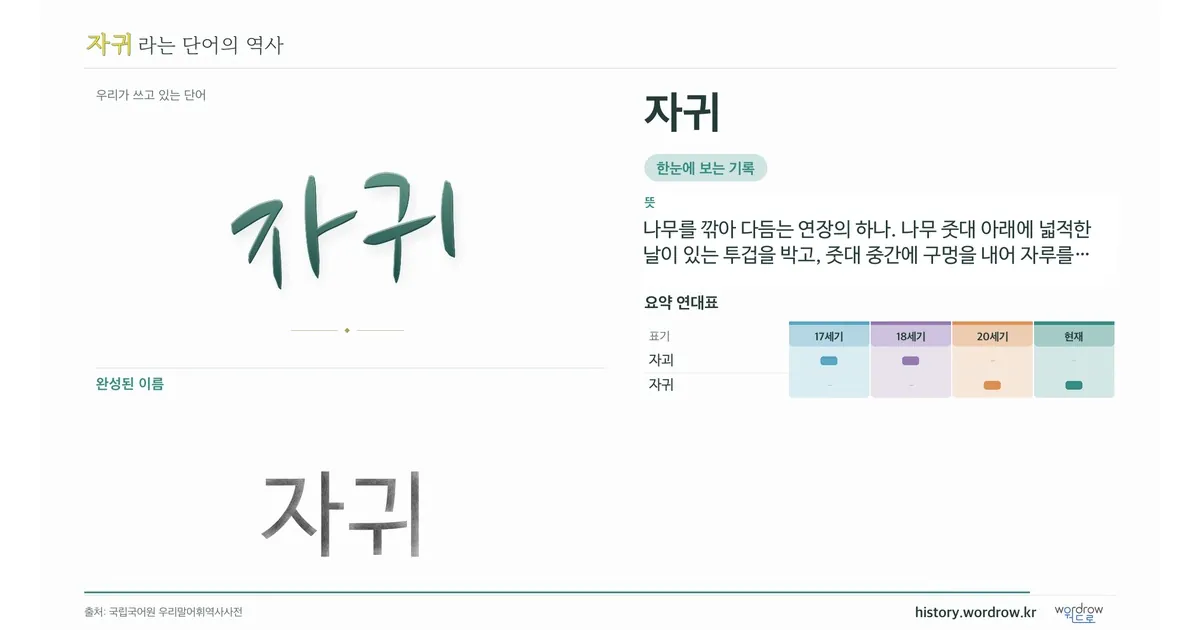 자귀 대표 이미지