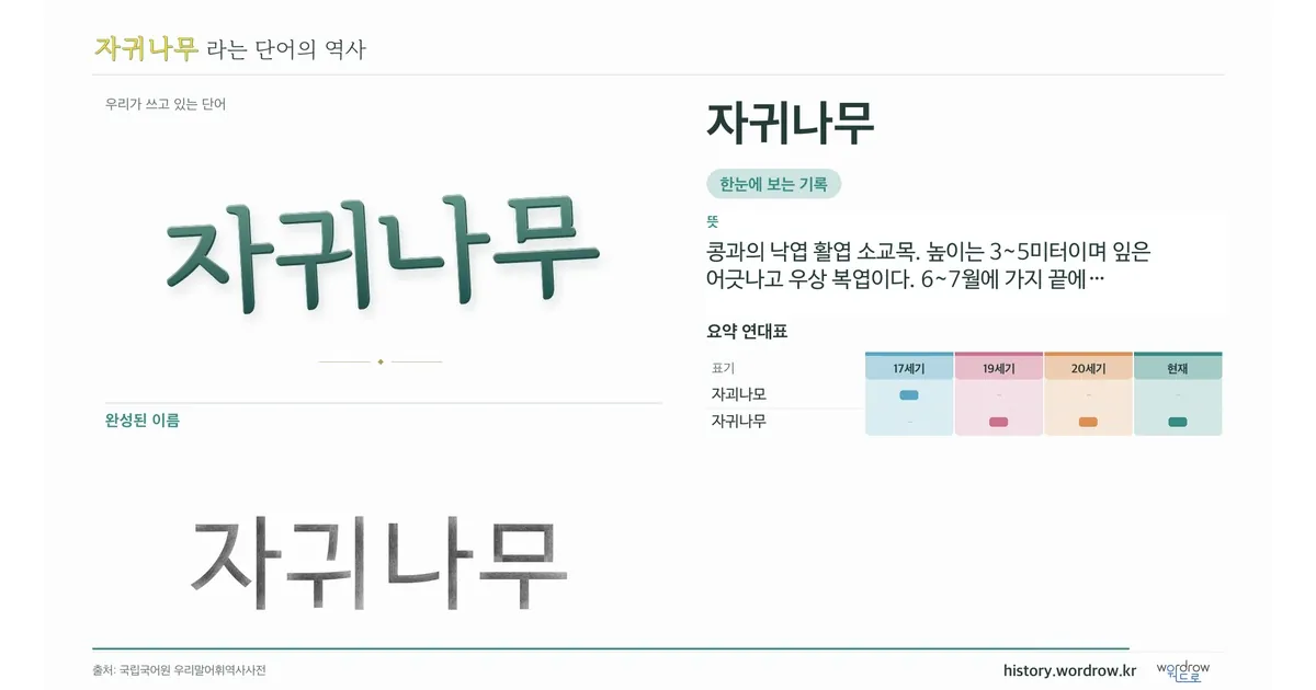 자귀나무 대표 이미지