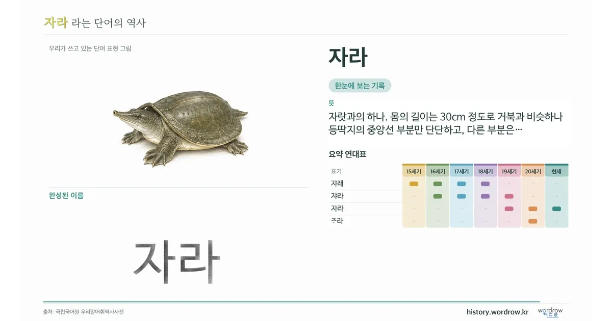 자라 대표 이미지