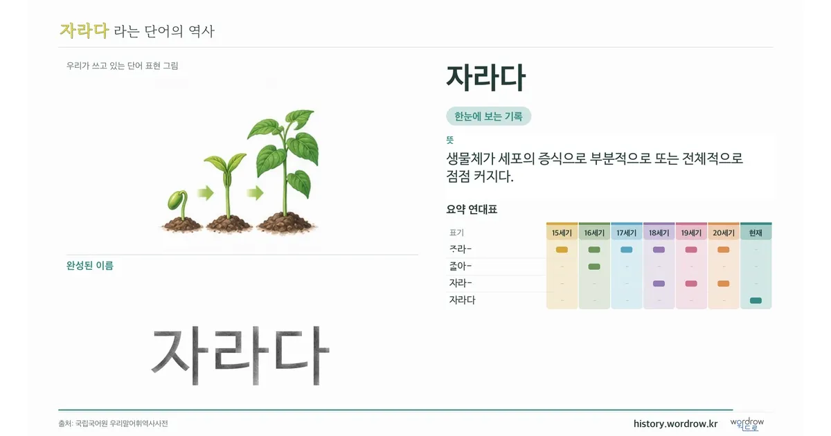자라다 대표 이미지
