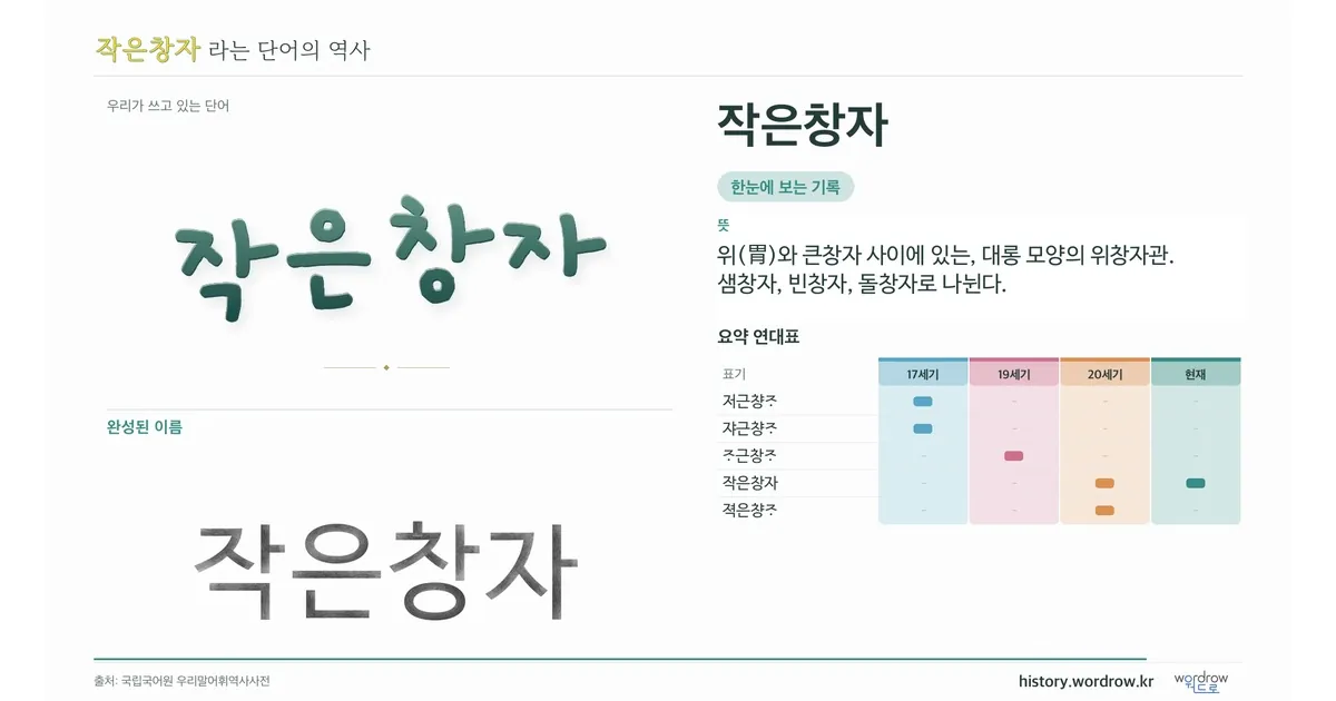 작은창자 대표 이미지