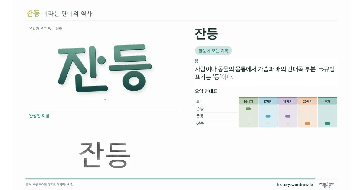 잔등 대표 이미지