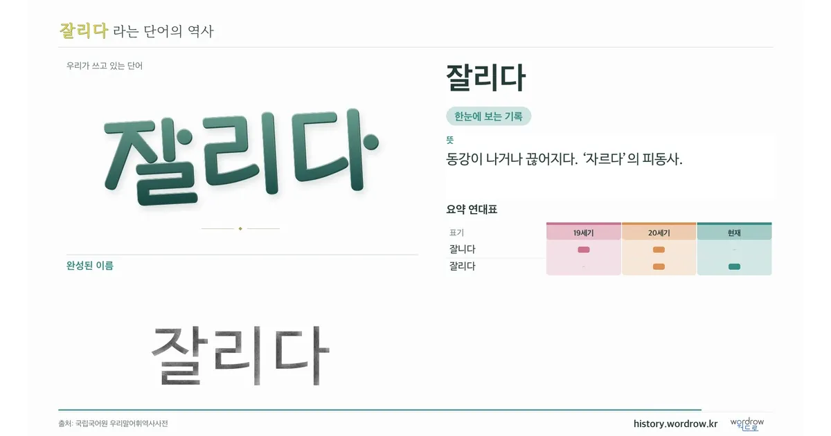 잘리다 대표 이미지