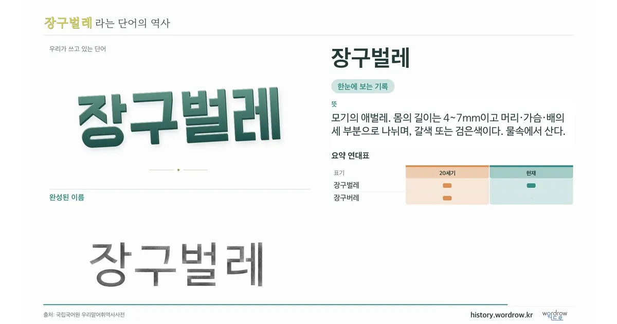 장구벌레 대표 이미지