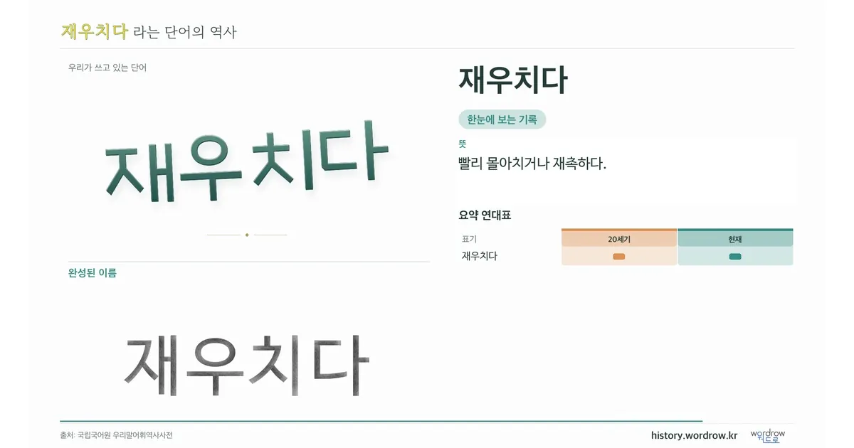 재우치다 대표 이미지