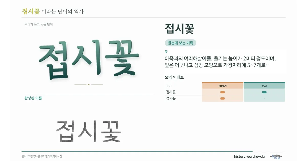 접시꽃 대표 이미지