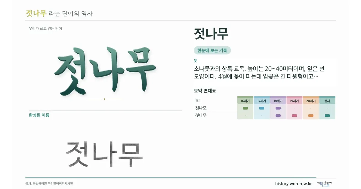 젓나무 대표 이미지