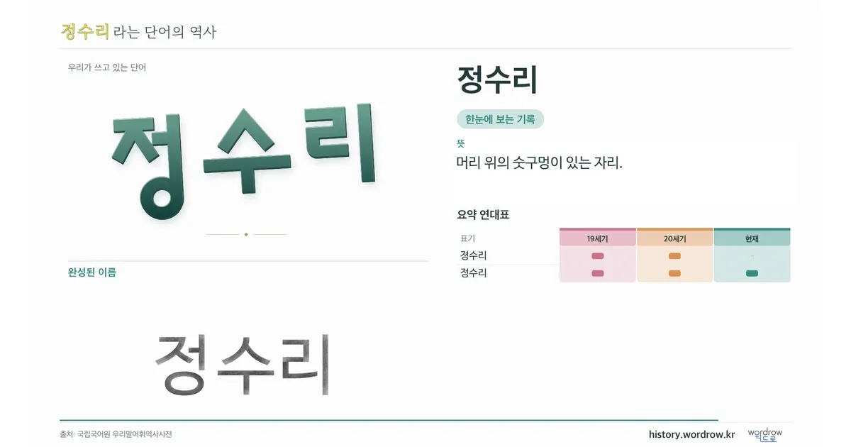 정수리 대표 이미지