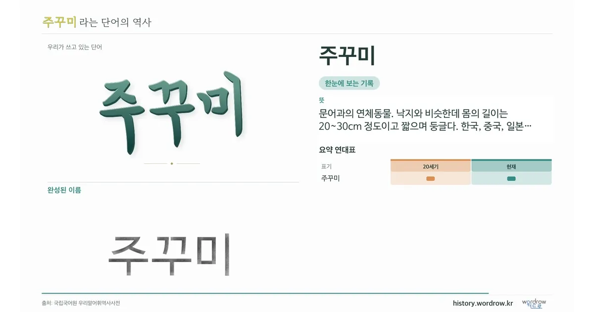 주꾸미 대표 이미지
