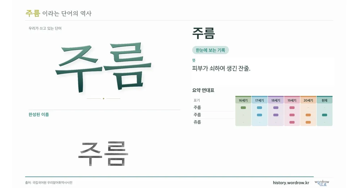 주름 대표 이미지
