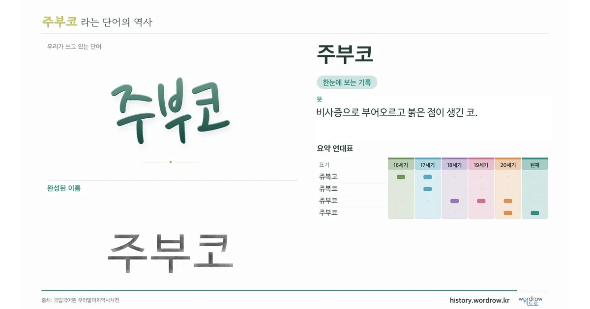 주부코 대표 이미지