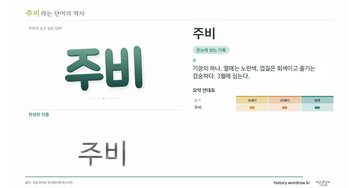 주비 대표 이미지