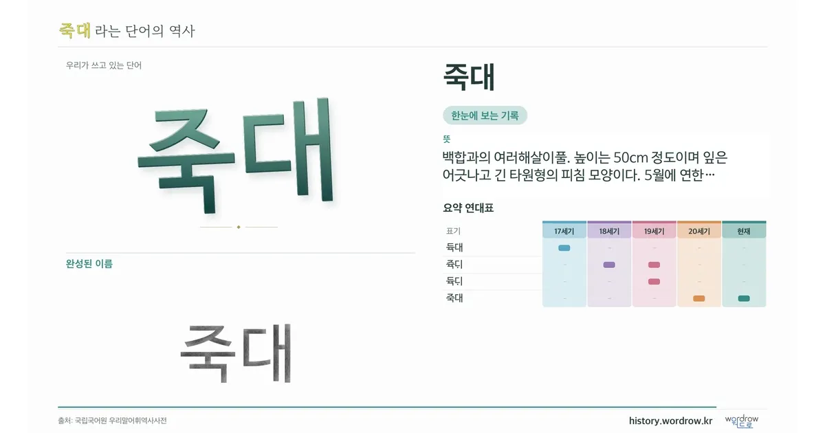 죽대 대표 이미지