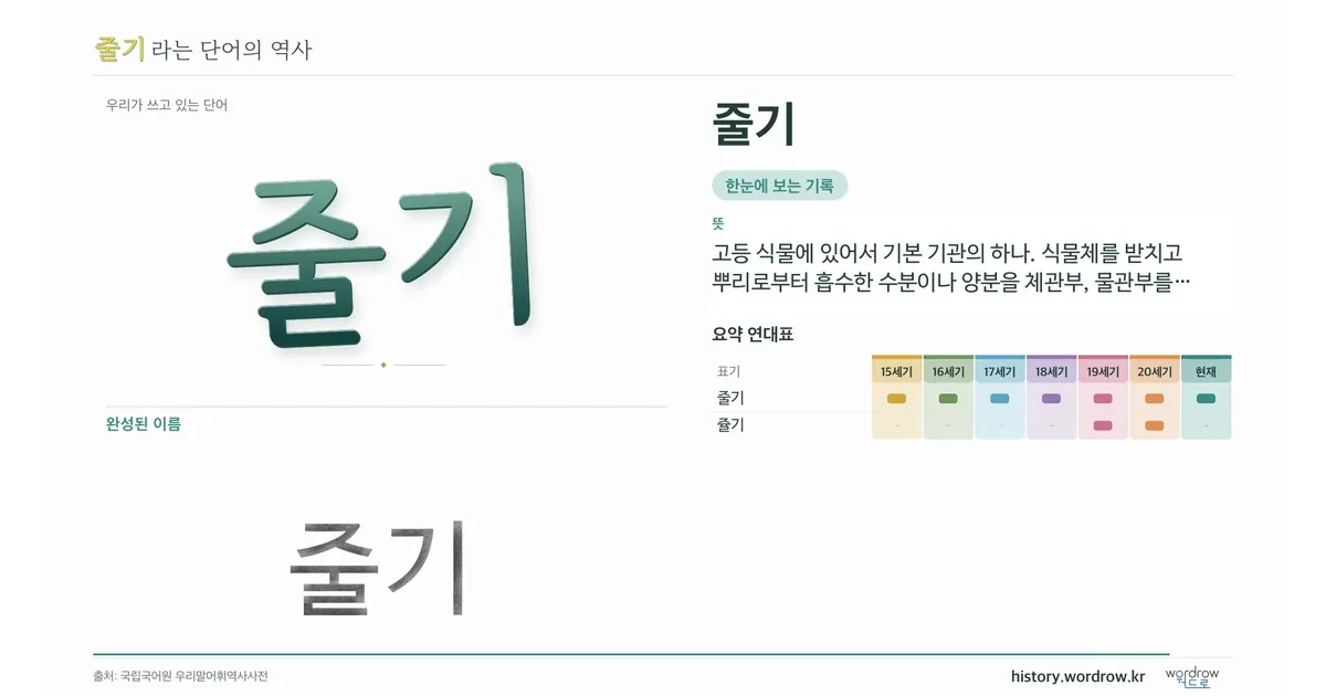 줄기 대표 이미지