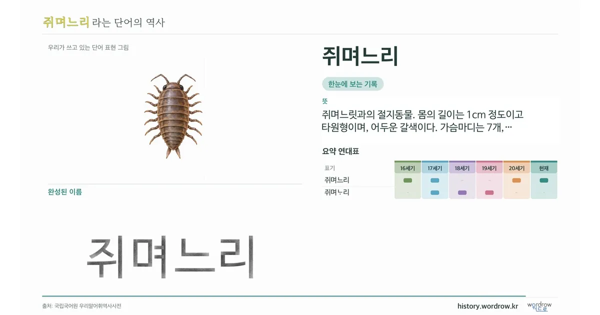 쥐며느리 대표 이미지