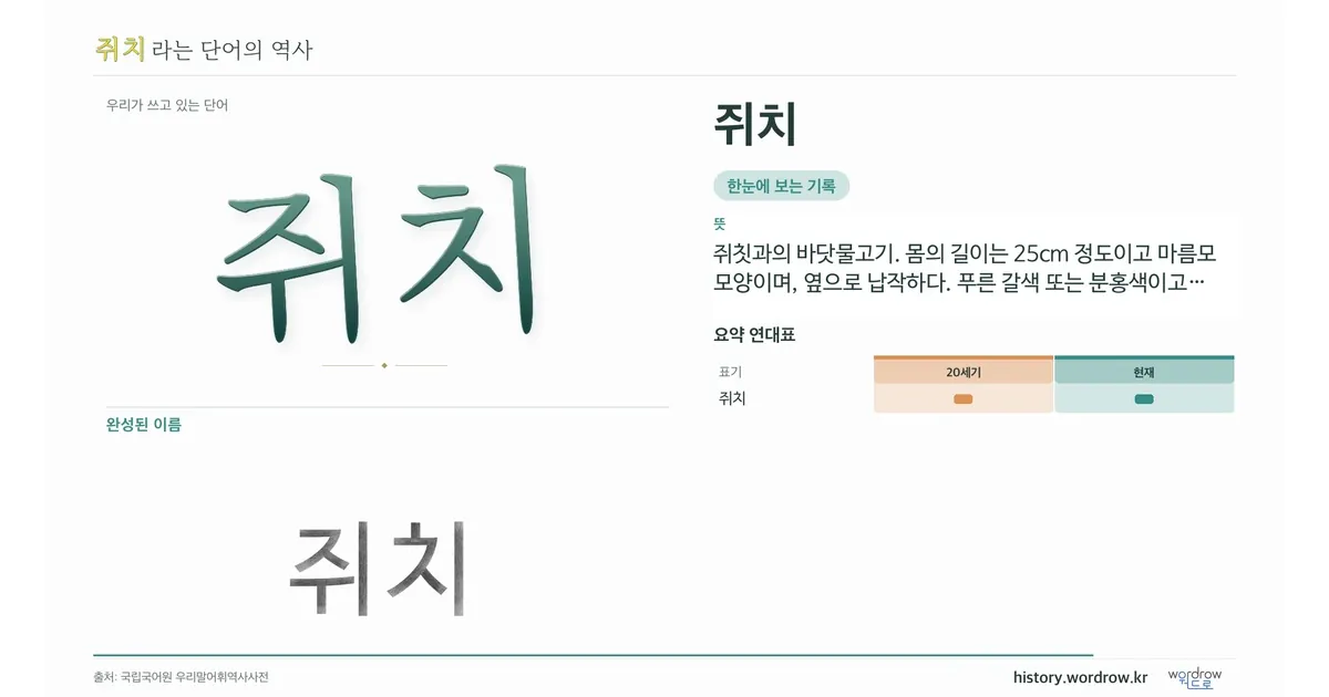 쥐치 대표 이미지