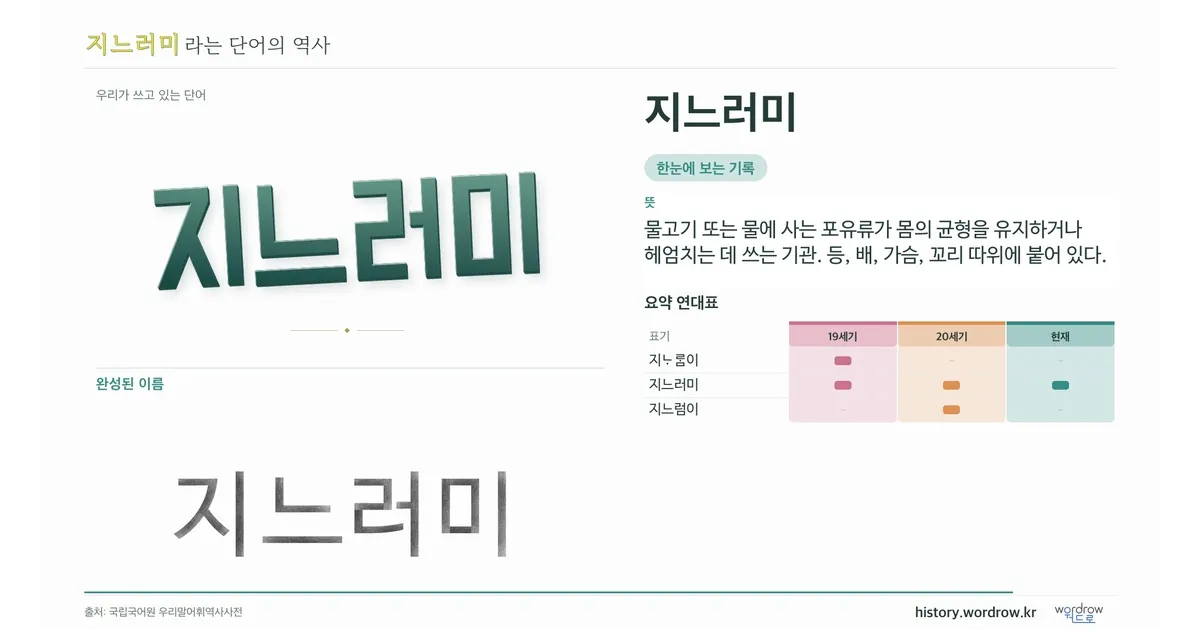 지느러미 대표 이미지