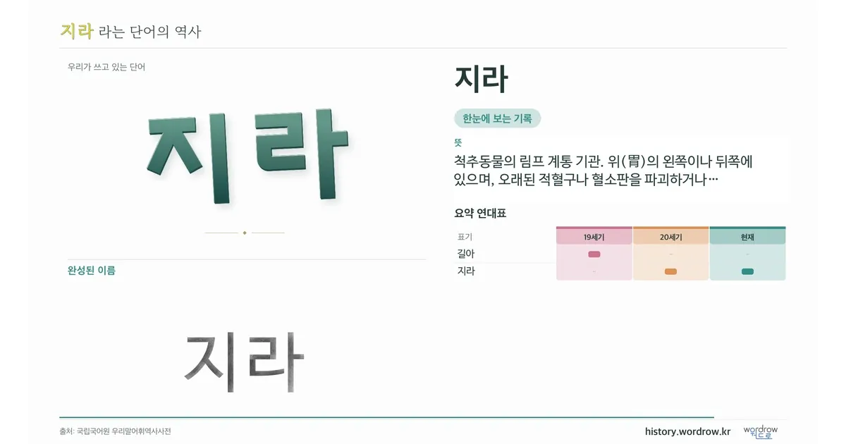 지라 대표 이미지