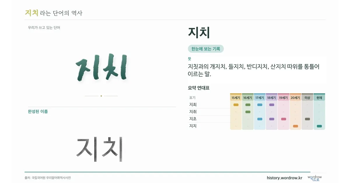 지치 대표 이미지